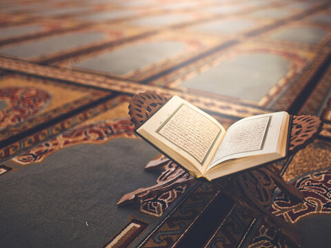 Moddakir Academy Quran Translation and Transliteration